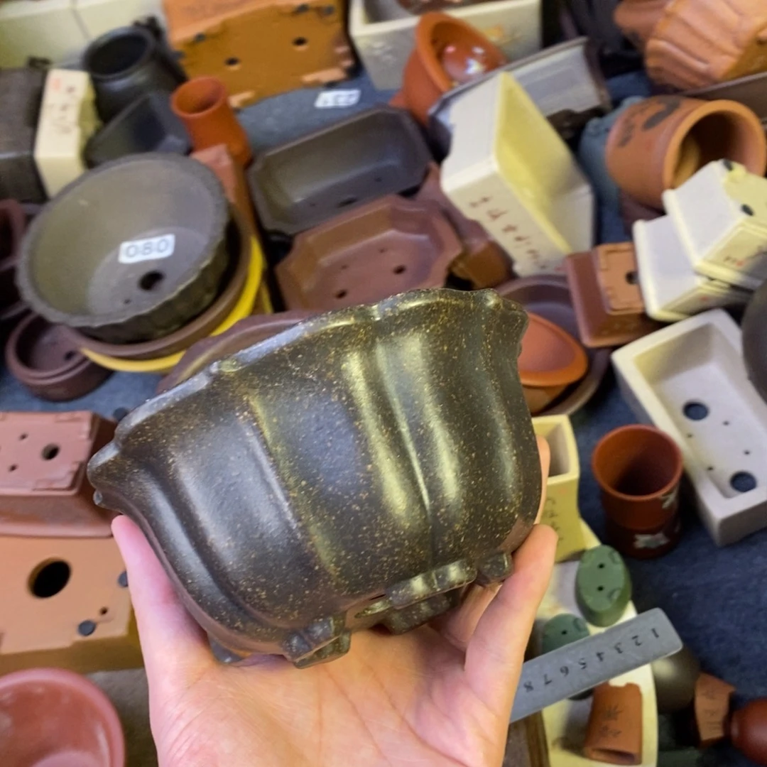 泥塑12+6vvvvvvvvvvvvvv