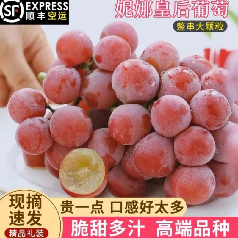 顺丰空运当季妮娜皇后大葡萄皇后葡萄石新鲜水果礼盒装