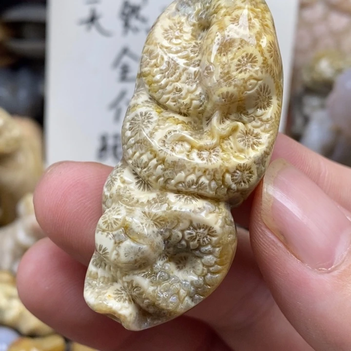 硅化珊瑚（珊瑚玉）未镶嵌颈饰