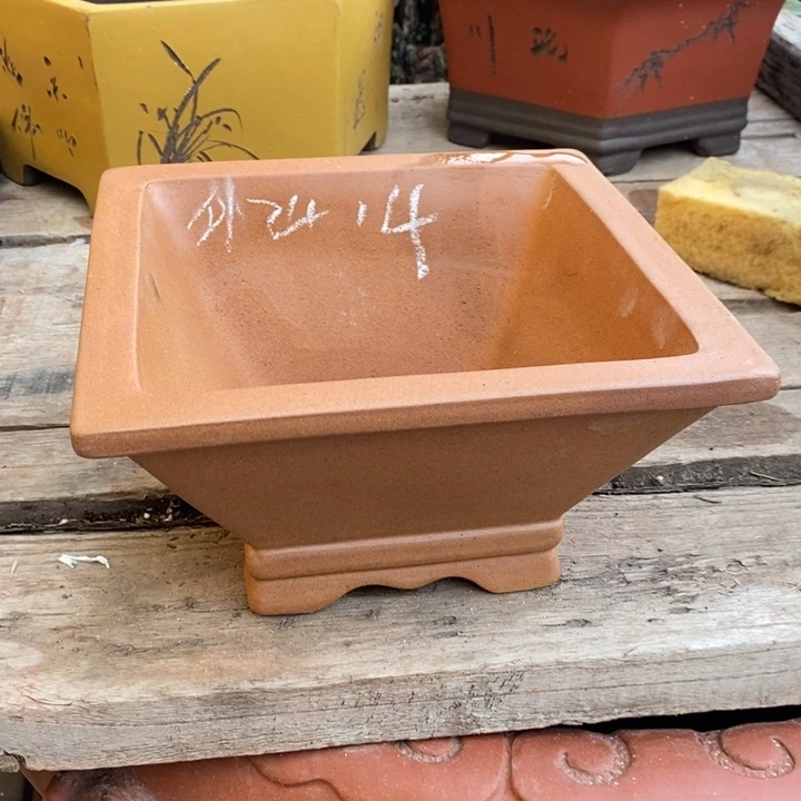 花盆紫砂哈哈哈哈哈哈