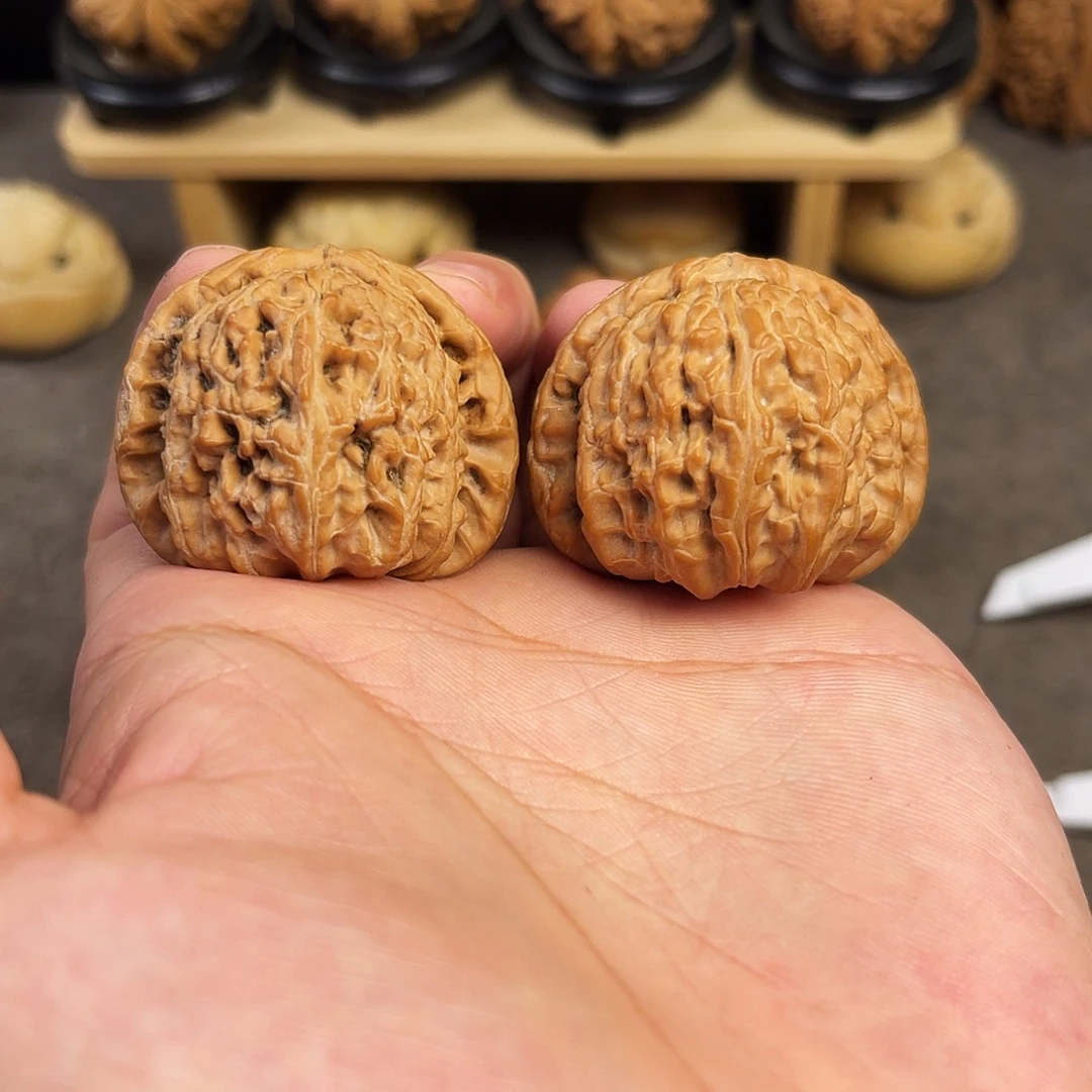 风***狼文玩核桃把件40全品白狮子