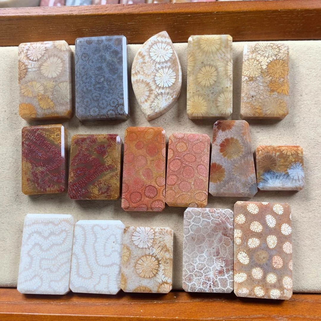 未镶嵌上新80/个，可挑。01硅化珊瑚（珊瑚玉）