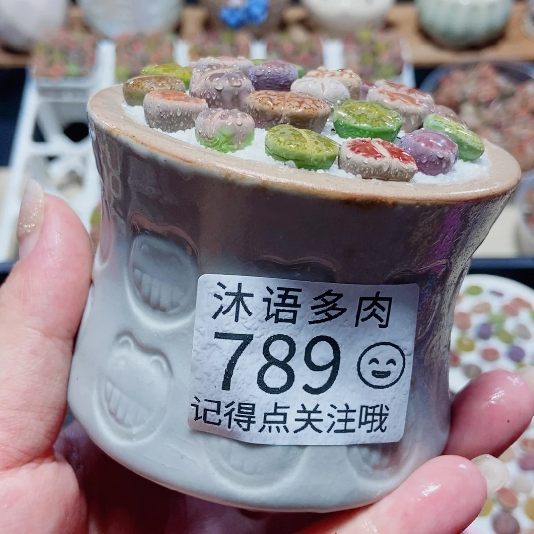 一物一拍 所见即所得 789