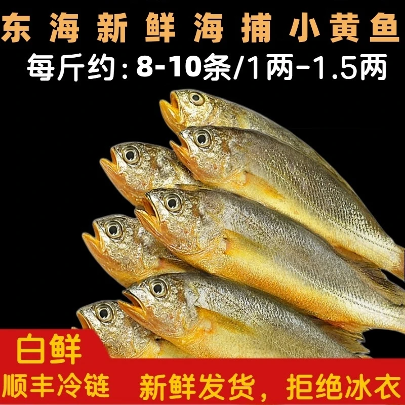 《鲜多多》东海新鲜海捕小黄鱼 4斤  顺丰 新鲜   规格1斤8-10条