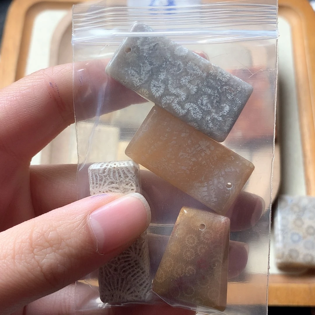 硅化珊瑚（珊瑚玉）颈饰未镶嵌莫*