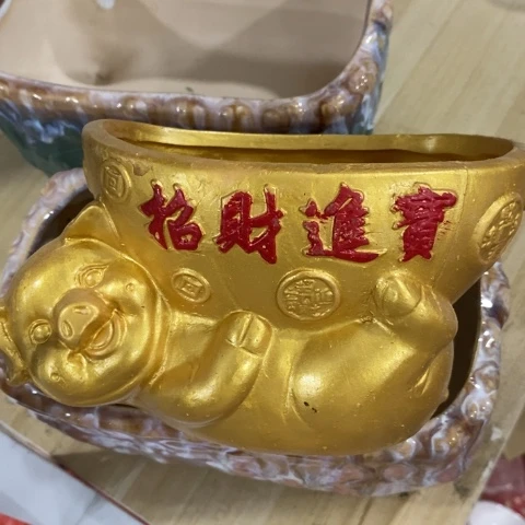 金色猪3131313113131