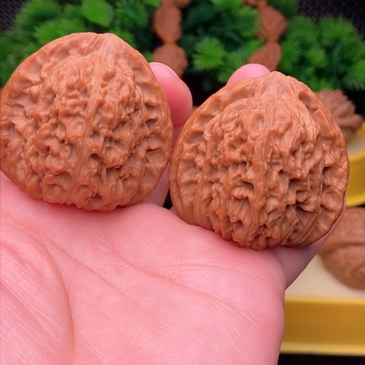 南疆44全品1111111