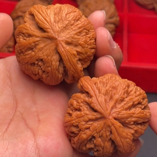 文玩核桃把件秦岭山脉核桃