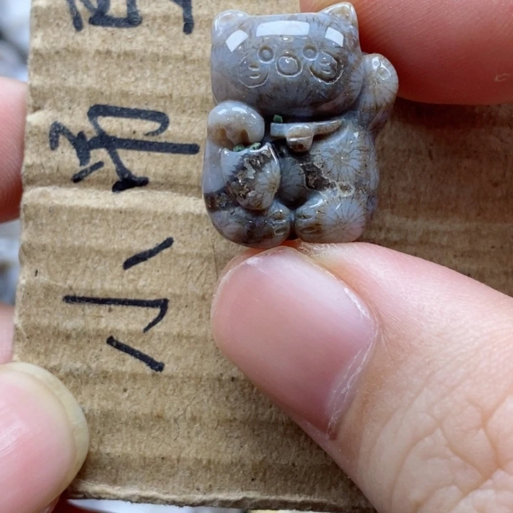 硅化珊瑚（珊瑚玉）颈饰未镶嵌