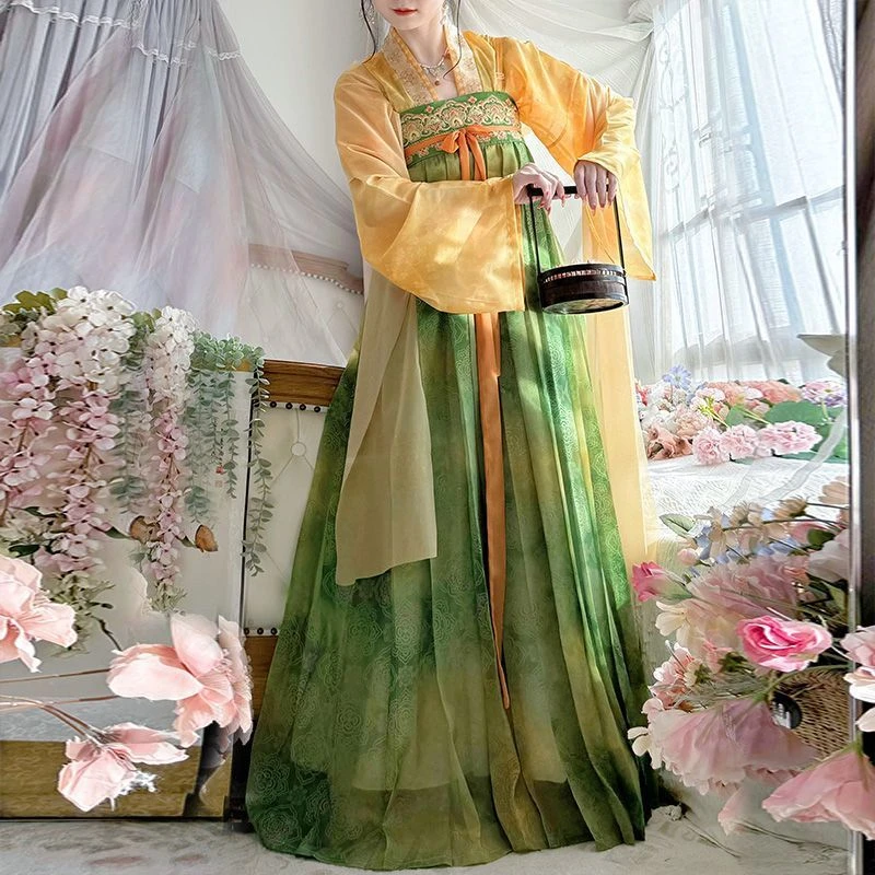 古风古装中国风日常唐制齐胸春夏仙女仙气汉元素飘逸汉服花雨沐原