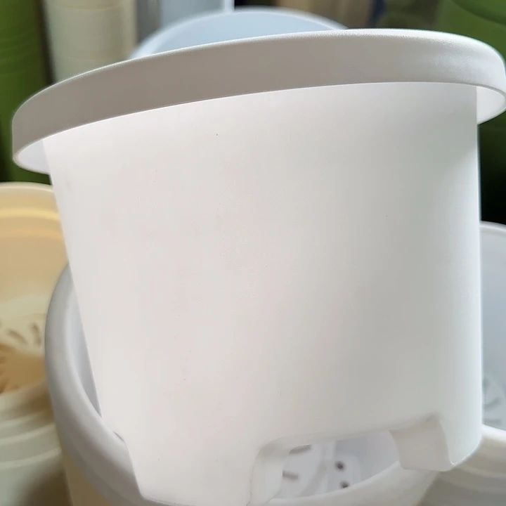 球根盆3号纯白无托10个