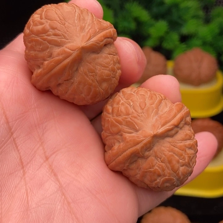 大***简舍利子38全品1111111