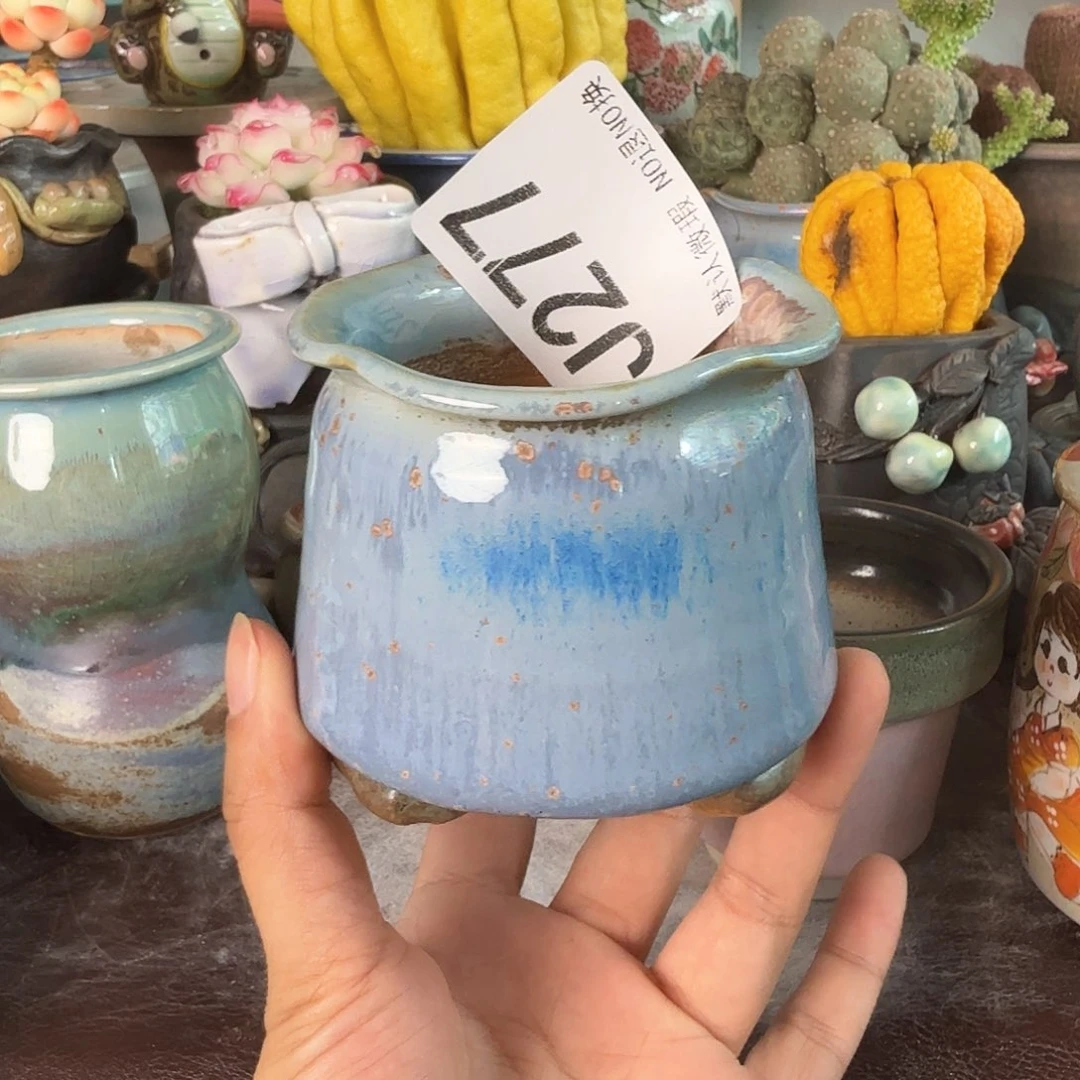 重庆小燕子欢迎大家277