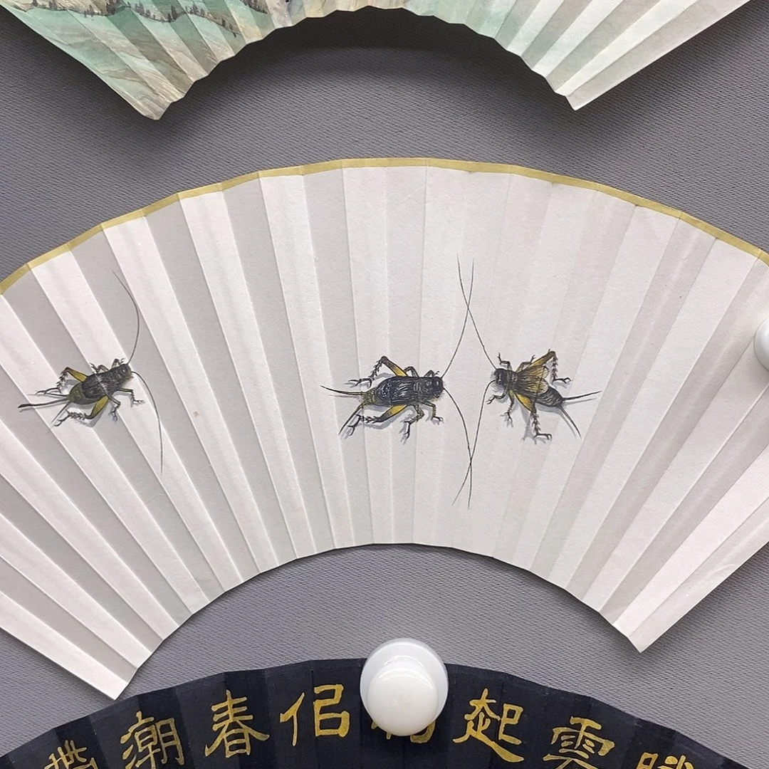 玉竹…玉竹….玉竹..玉竹..玉竹
