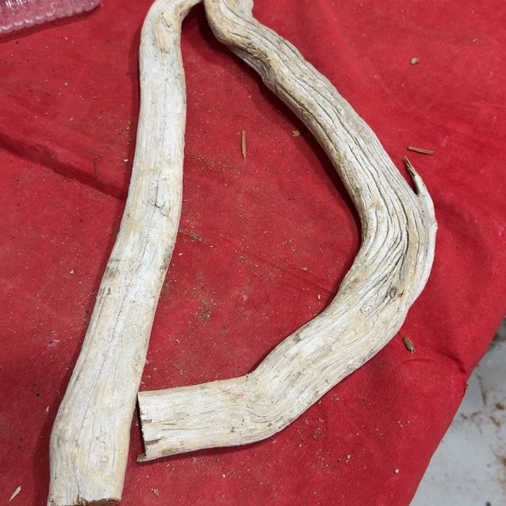 飞***龙香榧木工艺品精选