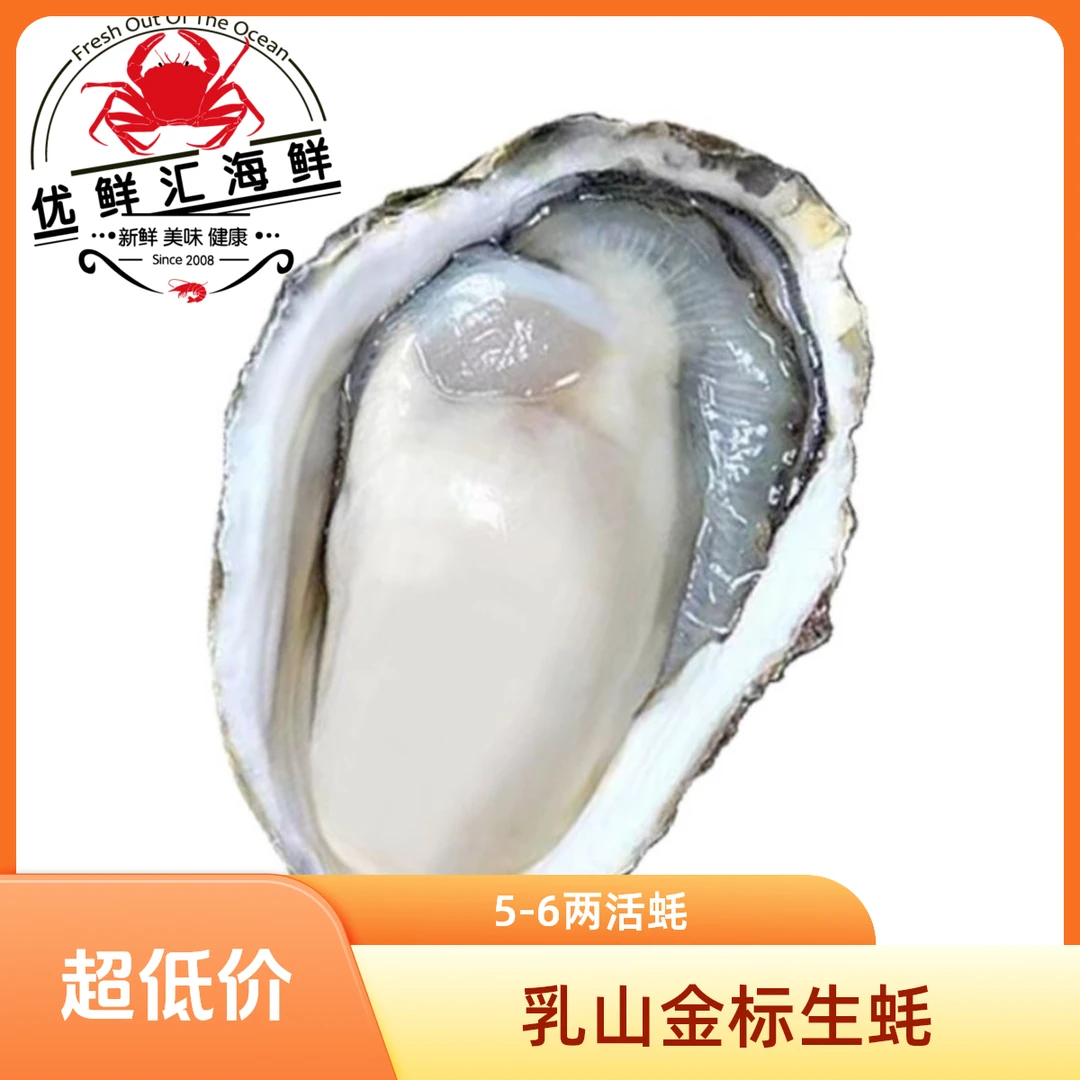 鲜活乳山生蚝 5-6两左右5斤装