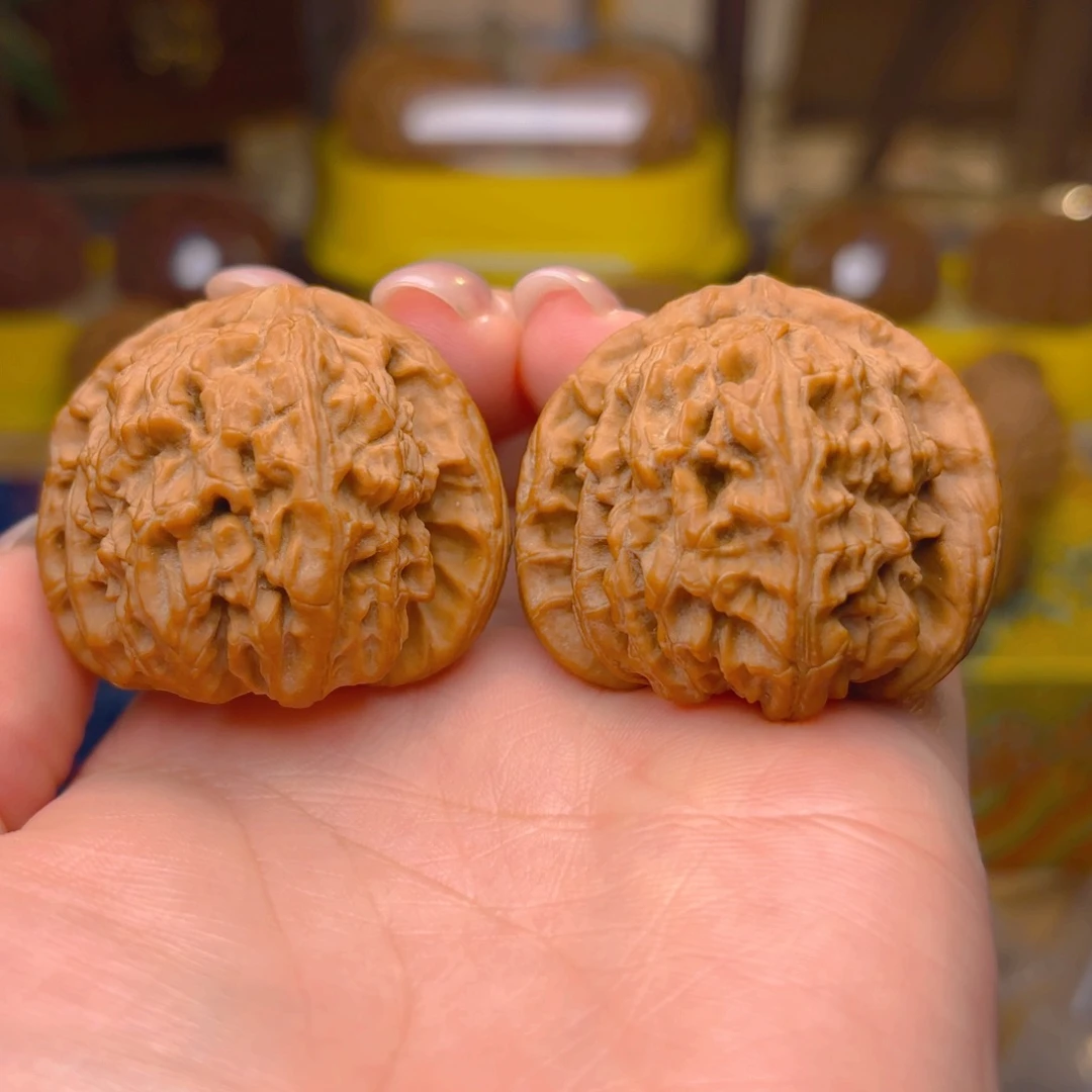 白狮子头四十尺的