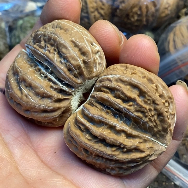 文玩核桃吊坠娜姐304