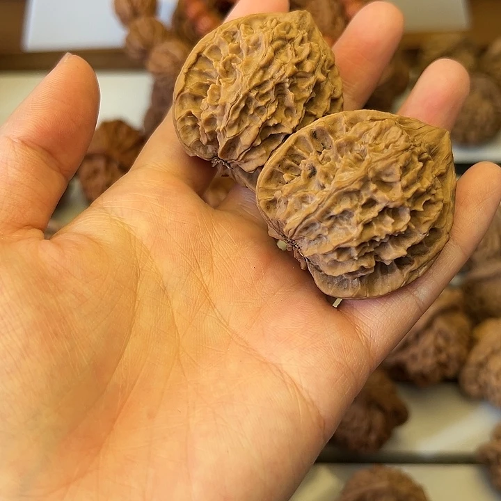 秦岭山脉⛰️！秦岭南3