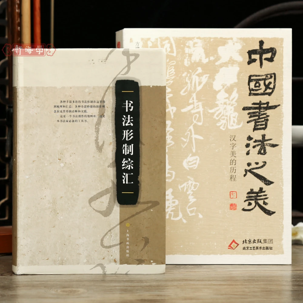 共2本书法形制综汇中国书法之美汉字美的历程甲骨金文秦篆汉简汉