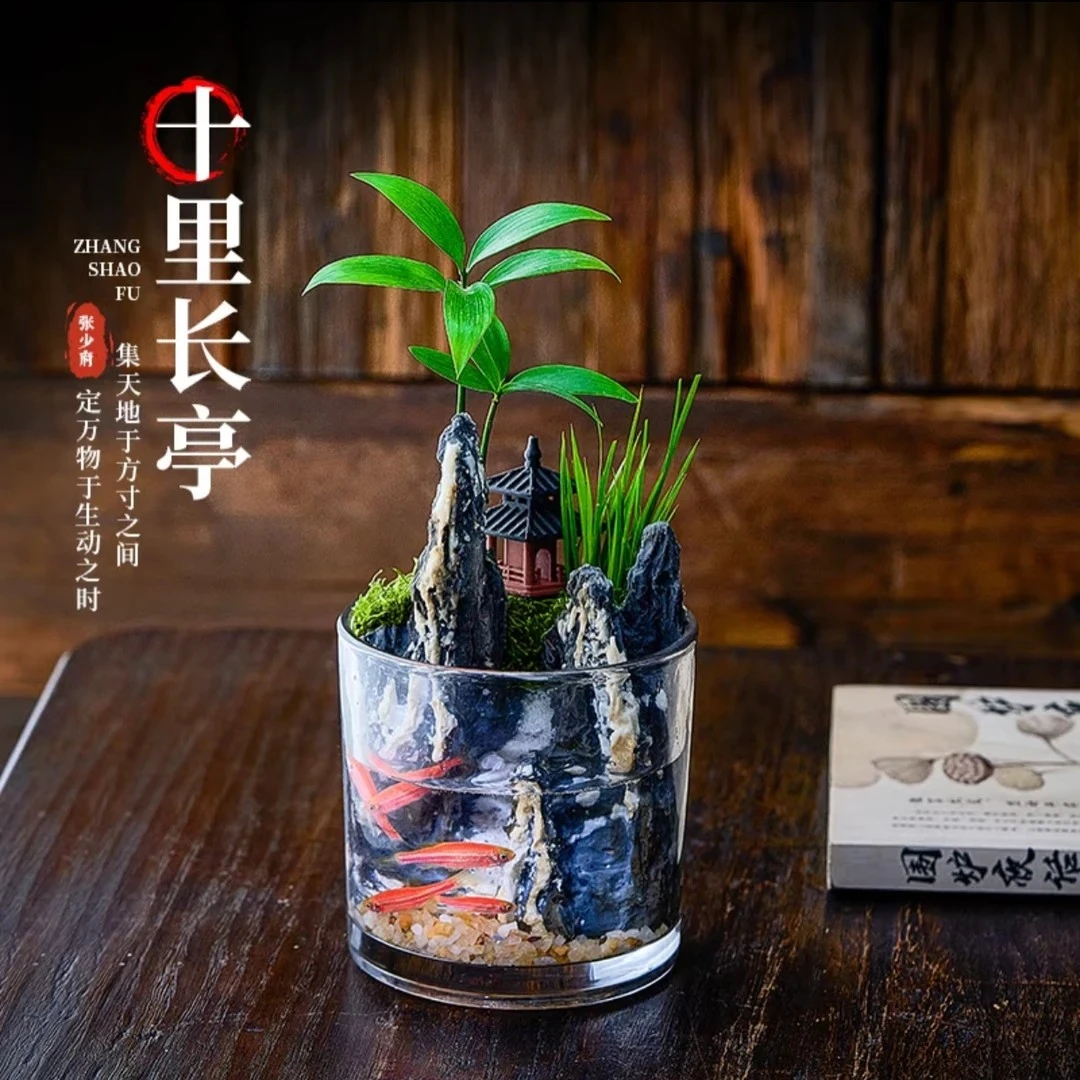 十里长亭水陆微景观养鱼生态缸绿植造景真植物桌面摆件