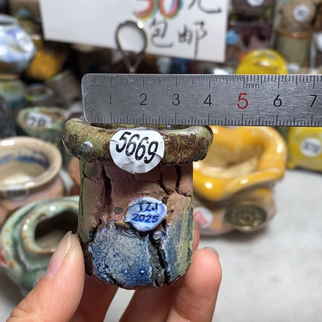 花盆拍3个送一个小礼物