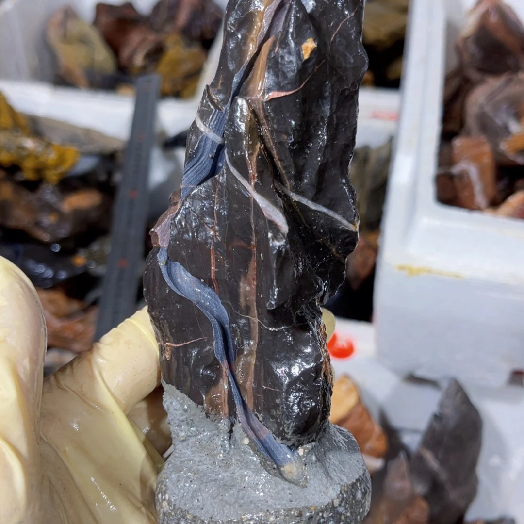 俗**风附石盆景一物一拍