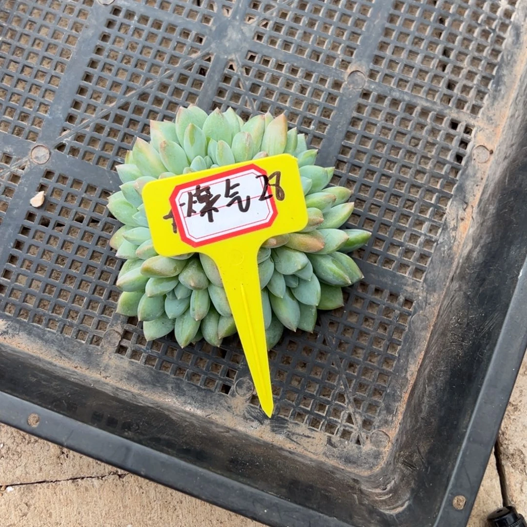 煤***罐煤气28。