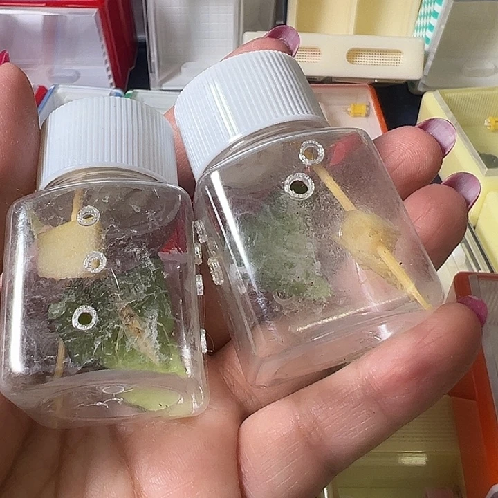 悦***悦蟋蟀哈哈哈哈哈哈哈哈哈