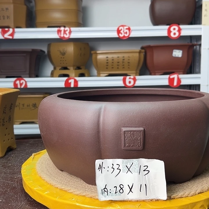 紫砂花盆蛇年大吉