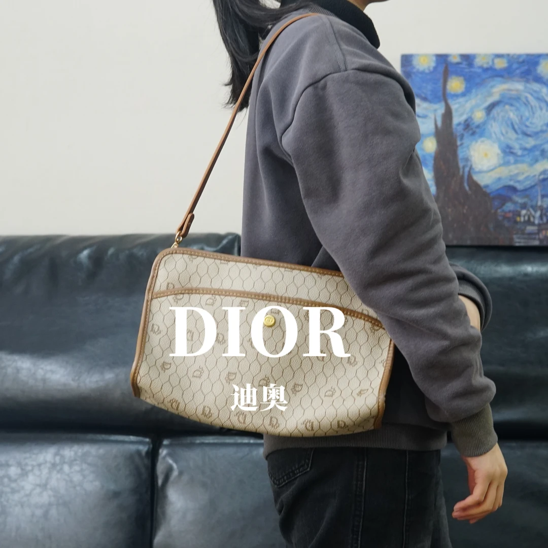95新 DIOR/迪奥 老花单肩包/ZG02506574/6574