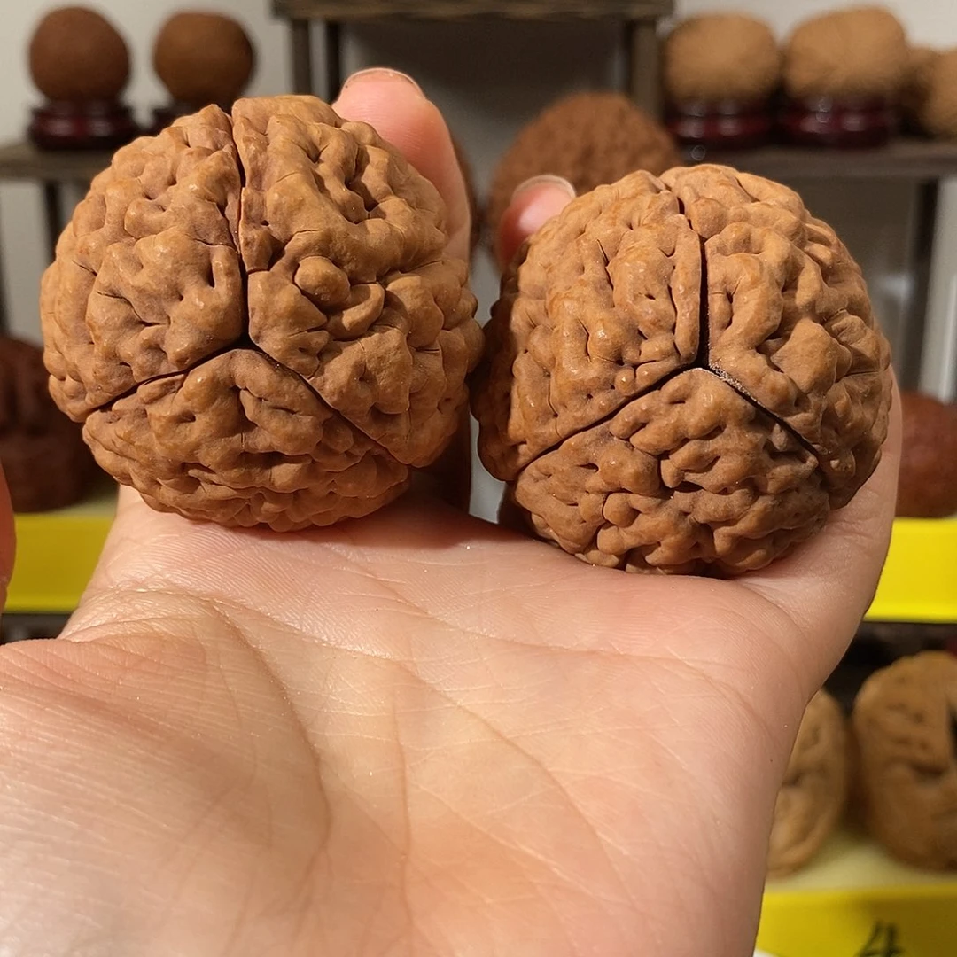 文玩核桃把件孙*竣三瓣脑纹金刚爆肉4956