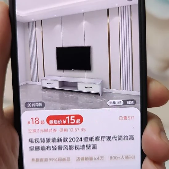 老***˵客厅电视墙壁画壁布