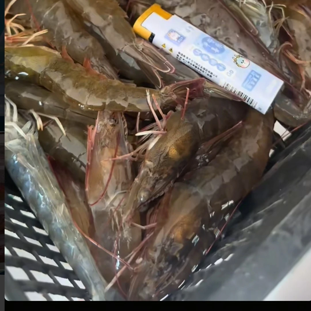 盐汪子新鲜大虾美味海货
