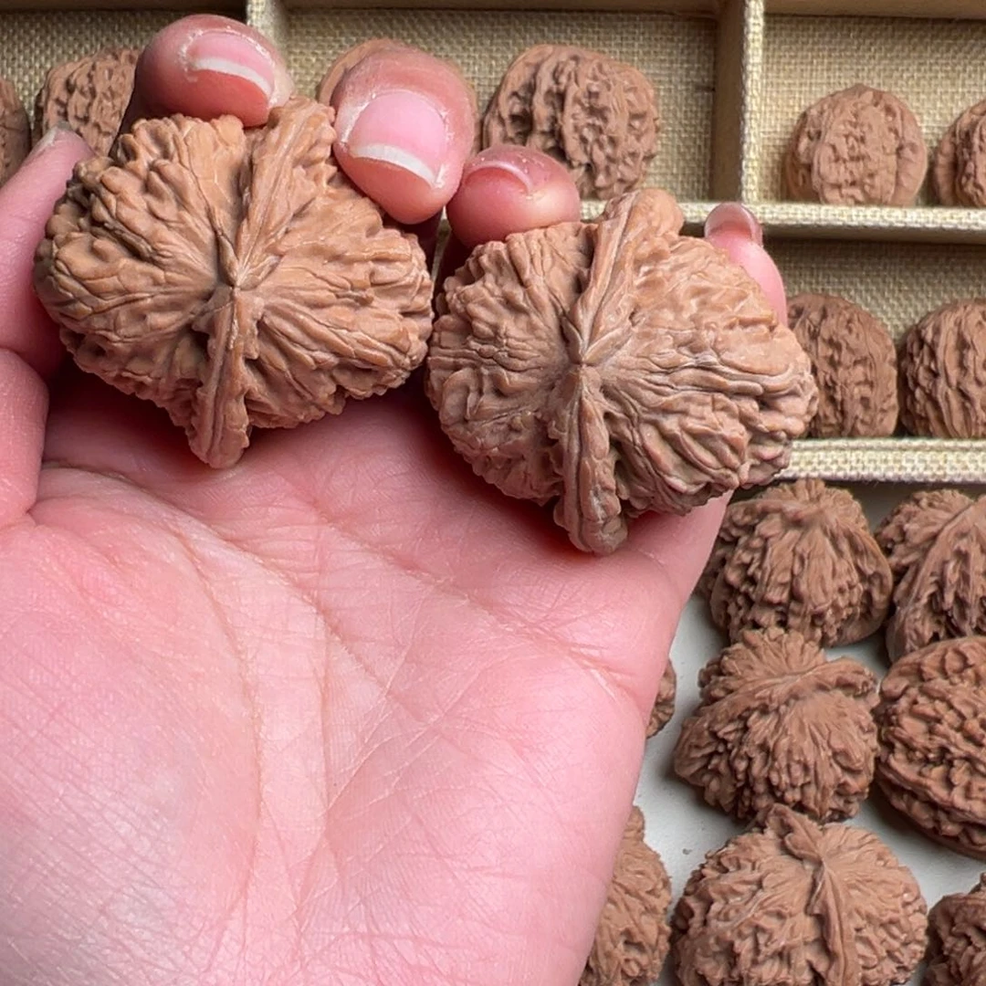 核桃把件?**?白狮子039号