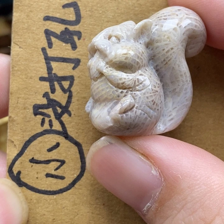 硅化珊瑚（珊瑚玉）未镶嵌颈饰