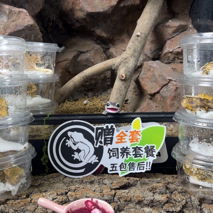 冬***砚睫角守宫加热垫子