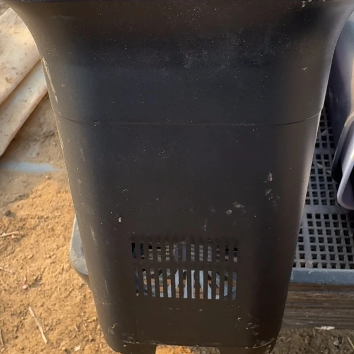 大黑万象盆一个口径15公分左右无托盘，20包邮