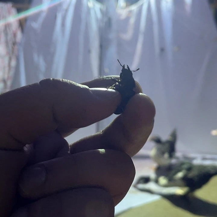 v好vv哈哈哈还好吧那那那