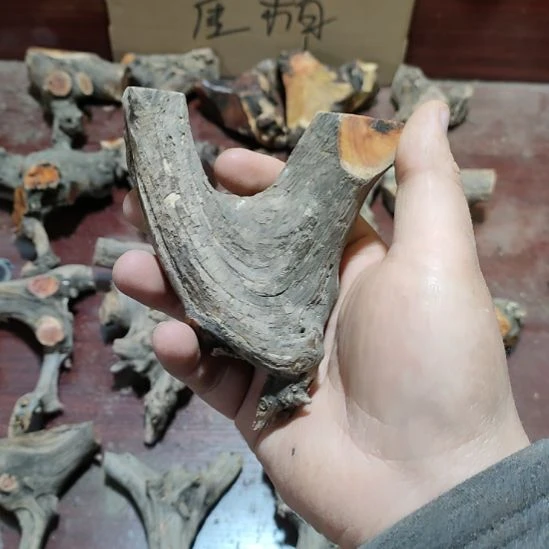 <***者大果紫檀（缅甸花梨）