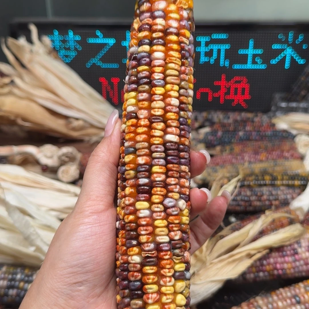 柏香籽/百香籽吊坠I****?