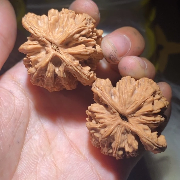 J***部吊坠文玩核桃精品课程的教学与