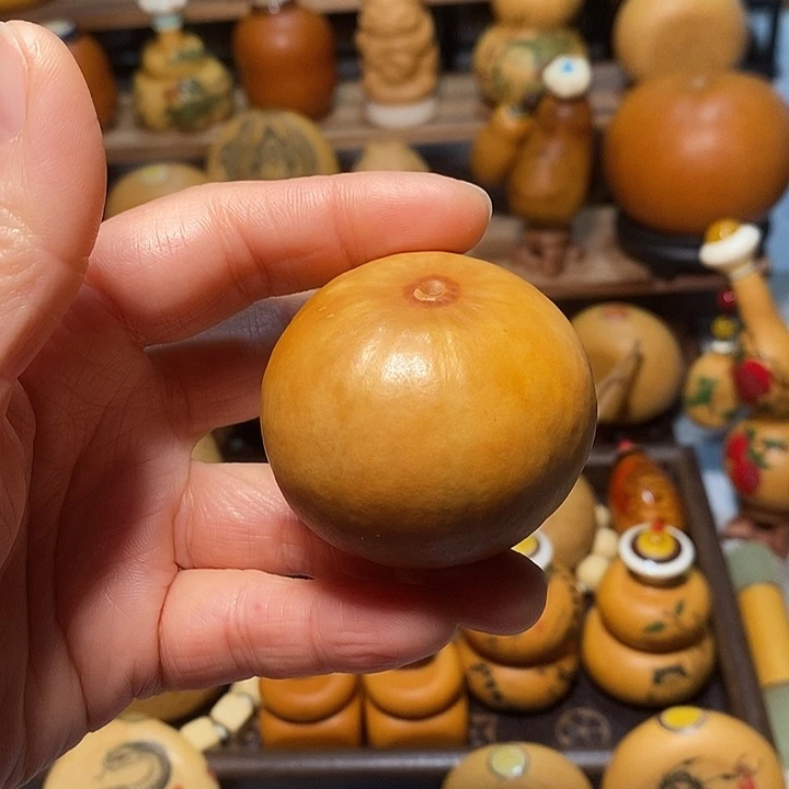 墨西哥小苹果葫芦