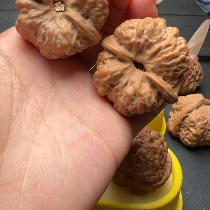 亚***贝吊坠文玩核桃文玩核桃文玩核桃