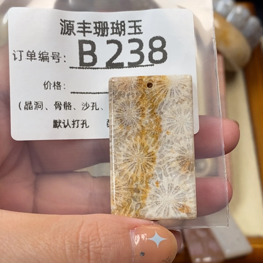 溪***光未镶嵌颈饰硅化玉