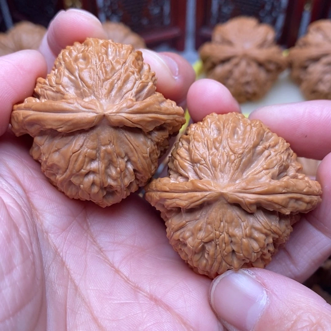 文玩核桃把件全品毕业绝配白狮子44尺