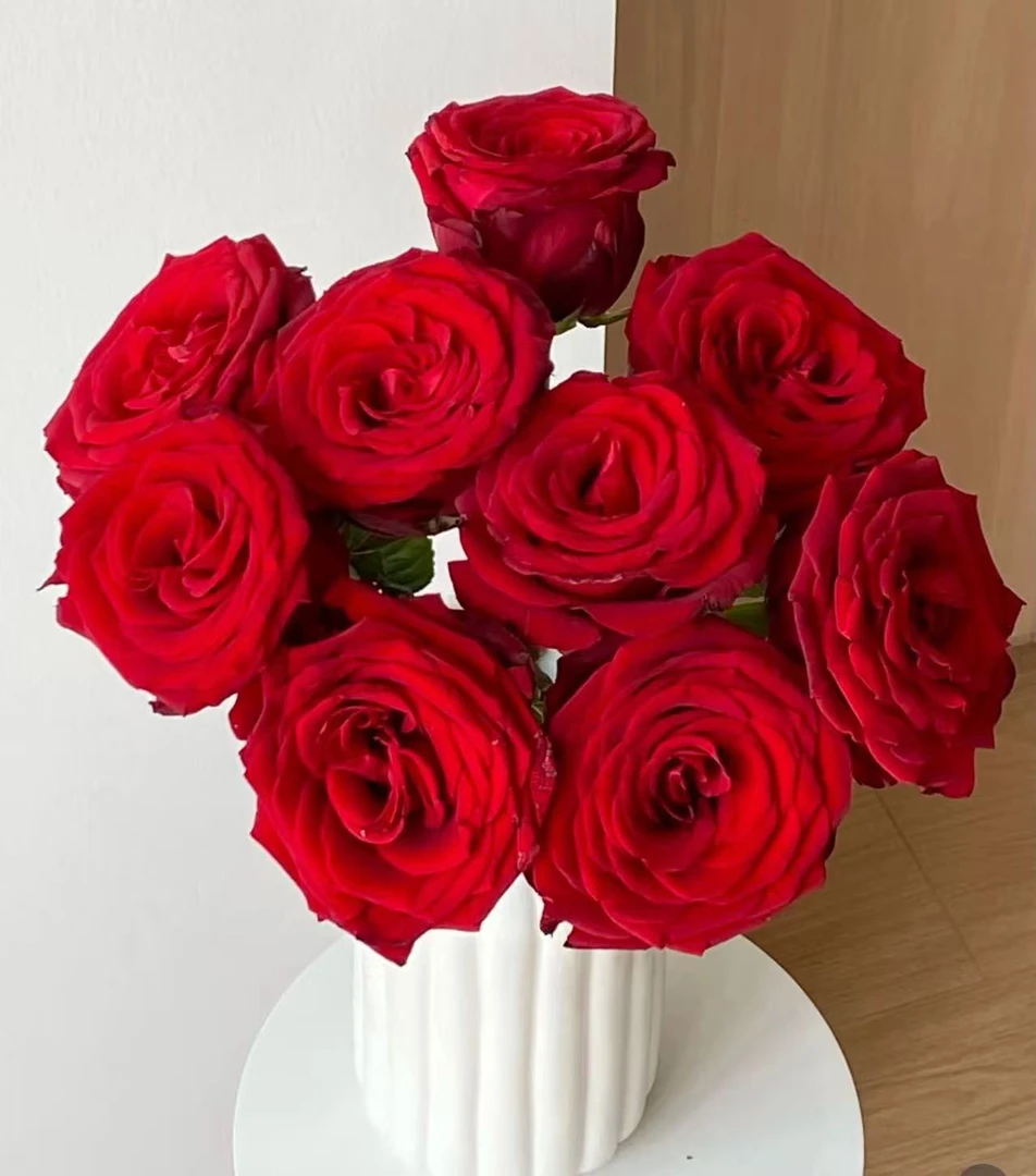 【娜欧米玫瑰】云南优选鲜切花昆明基地直发家用插花节日用花
