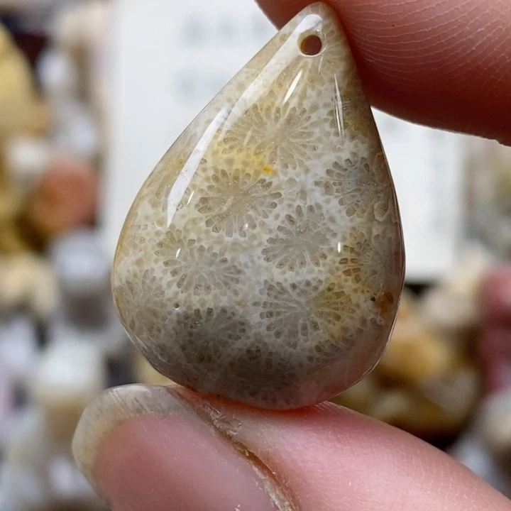 颈饰未镶嵌硅化珊瑚（珊瑚玉）有瑕 小