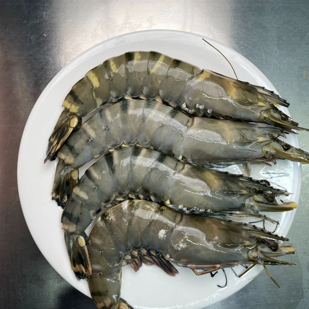 [静静大连海鲜]大黑虎虾冷冻海鲜海鲜水产超大