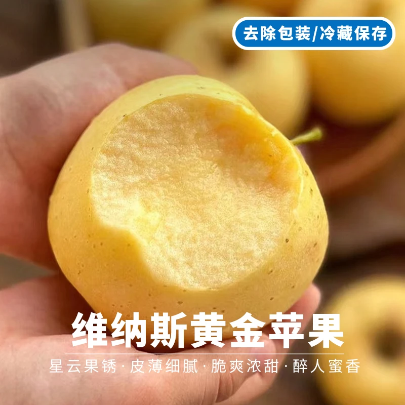 甘肃庆阳维纳斯黄金苹果当季新鲜水果礼盒装冰糖心苹果4斤包邮